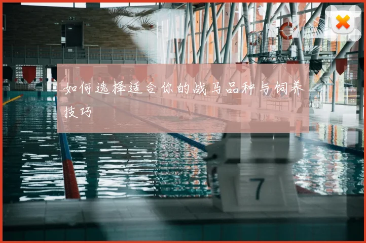 如何选择适合你的战马品种与饲养技巧