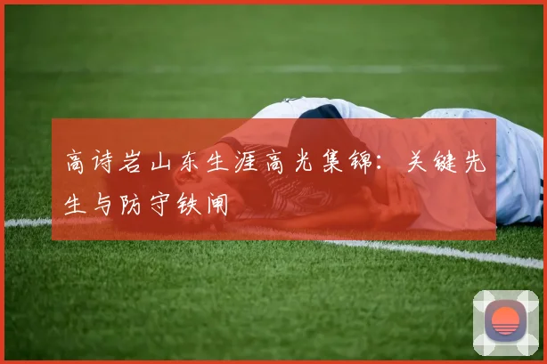 高诗岩山东生涯高光集锦:关键先生与防守铁闸
