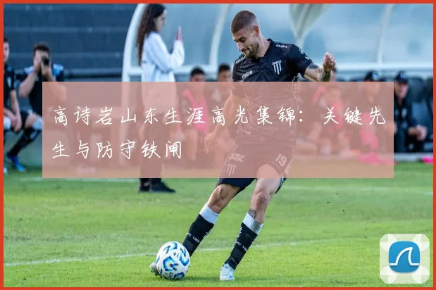 高诗岩山东生涯高光集锦：关键先生与防守铁闸