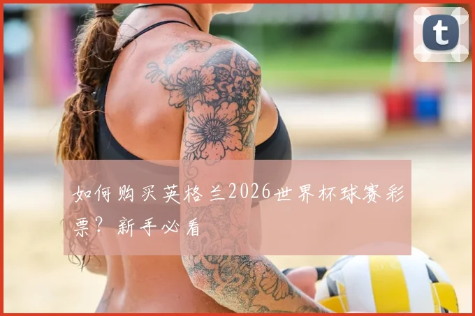 如何购买英格兰2026世界杯球赛彩票？新手必看