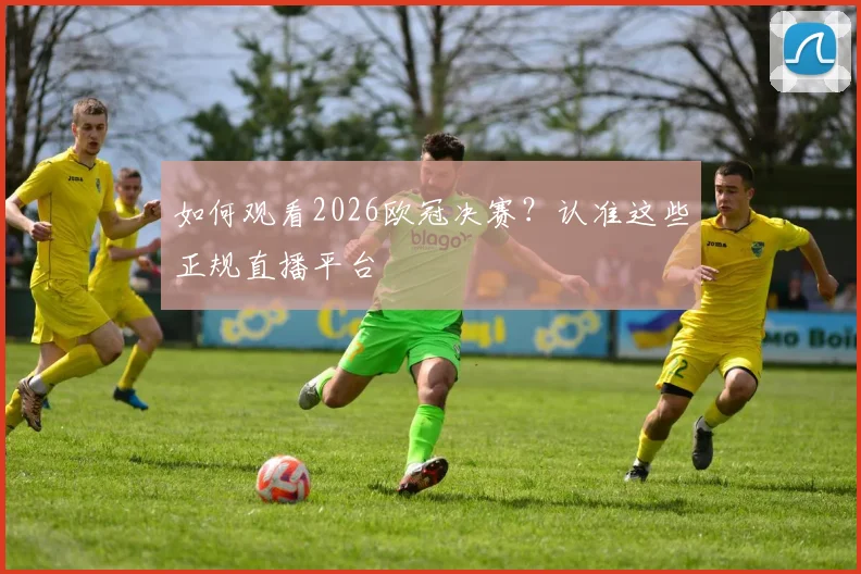如何观看2026欧冠决赛?认准这些正规直播平台