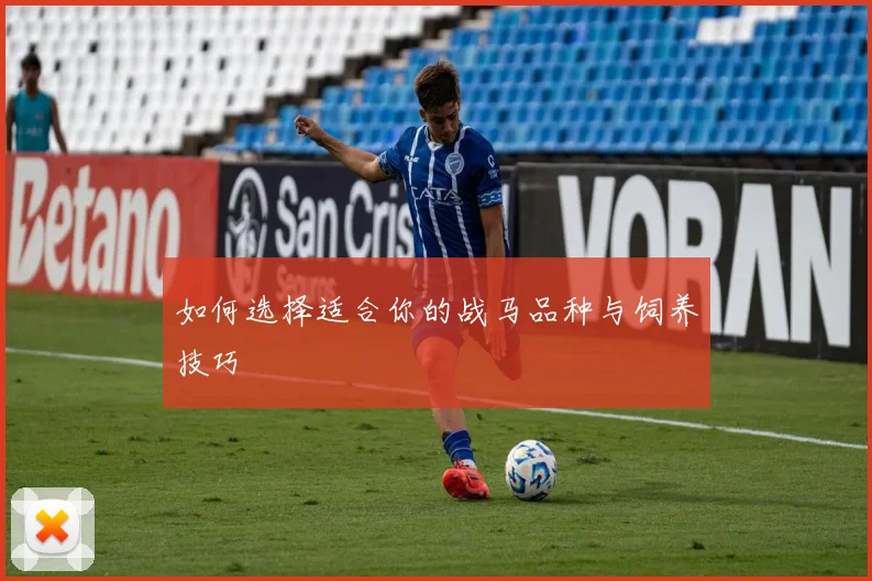 如何选择适合你的战马品种与饲养技巧